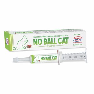 NO BALL CAT - PASTA 34G ALIVET